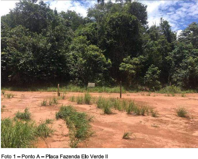 001 - imóveis rurais / fazenda esmeralda 16 (237,57 hectares) - brasnorte/mt