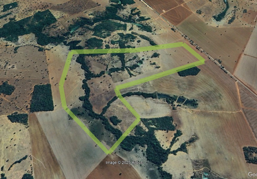 001 - imóveis rurais / fazenda bom sucesso (fração ideal de 25% / 34,97 hectares) piranhas/go